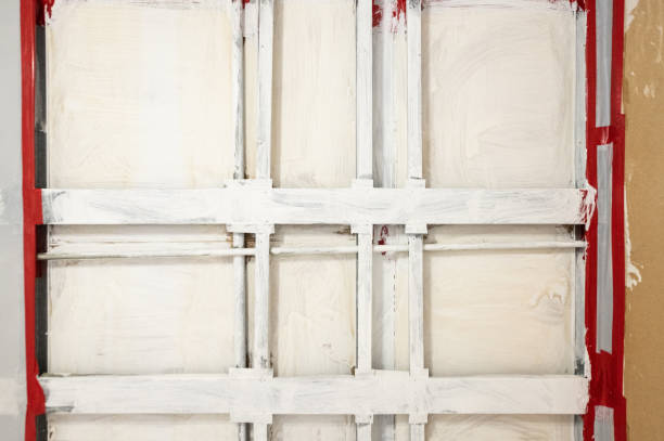 Professional Mold Removal in Sawmills, NC