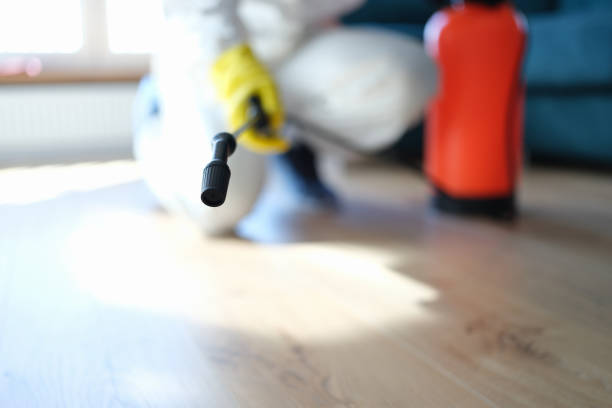  Sawmills, NC Mold Removal Pros